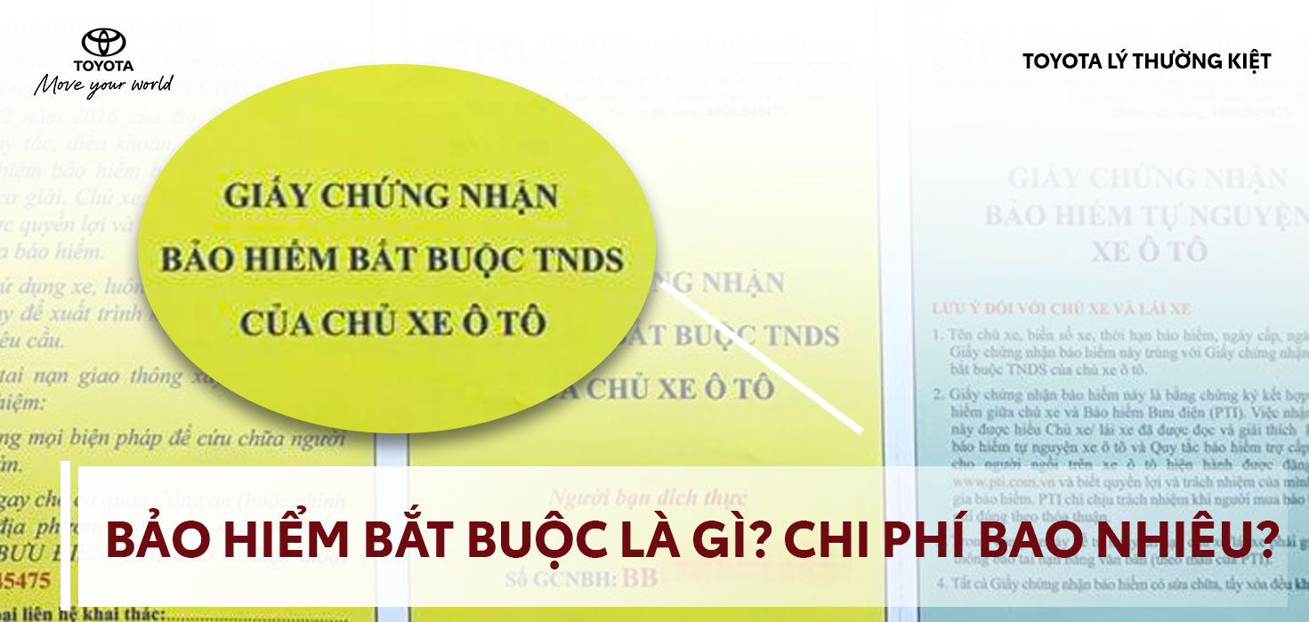 Bảo hiểm bắt buộc ô tô là gì? Vì sao chủ phương tiện phải tham gia?